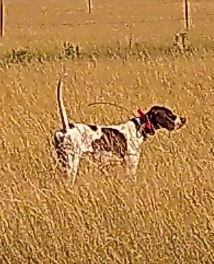 KATES CROSSROADS SIDESHOW