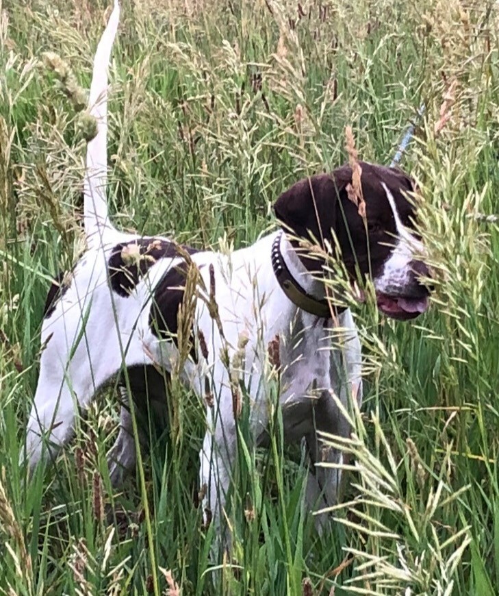 CROSSROADS ELHEW DOUBLE D